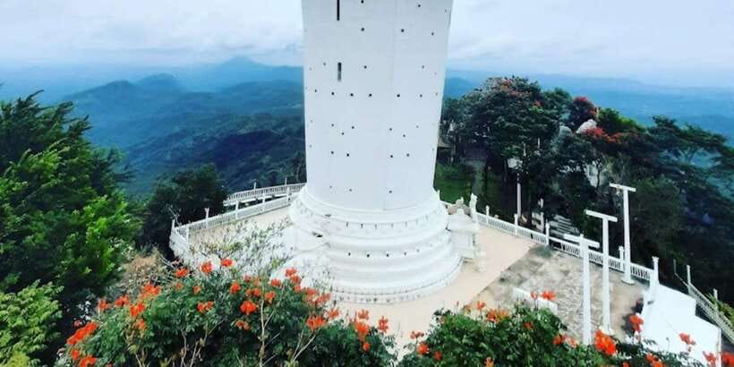 From Negombo: Ambuluwawa Tower & Tea Factory,Kandy Day Trip - Pinnawala Millennium Elephant Foundation: The Best Ticketed Stop