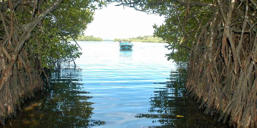 From Negombo: Bentota Full-Day Tour - Timing, comfort, and what to bring for a 10-hour day