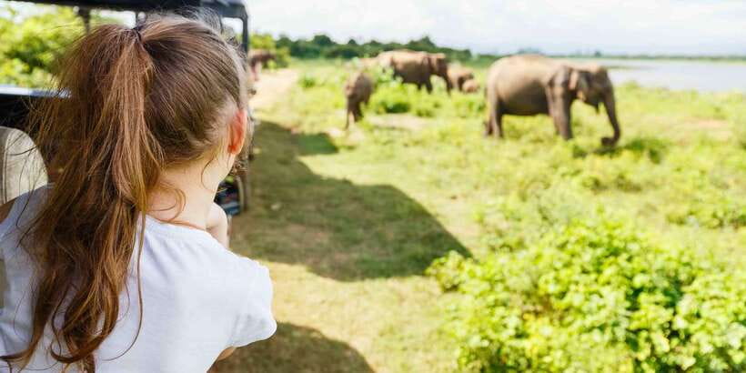 From Negombo: Minneriya National Park Safari Tour - Price and Value: what $105 covers and what you pay separately
