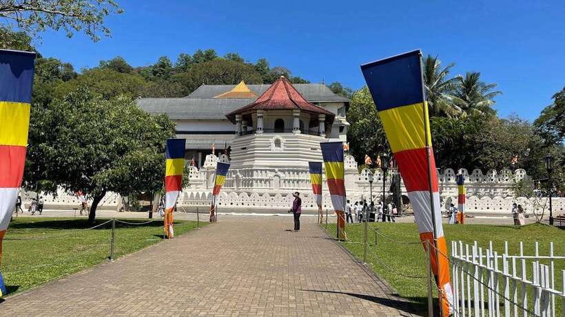 From Negombo : Pinnawala & Tea Factory & Kandy Full Day Trip - A one-day Kandy plan that actually covers the essentials