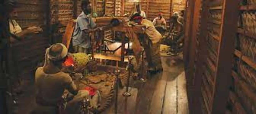From Negombo : Pinnawala & Tea Factory & Kandy Full Day Trip - Royal Botanical Garden in Kandy: where the pacing feels best