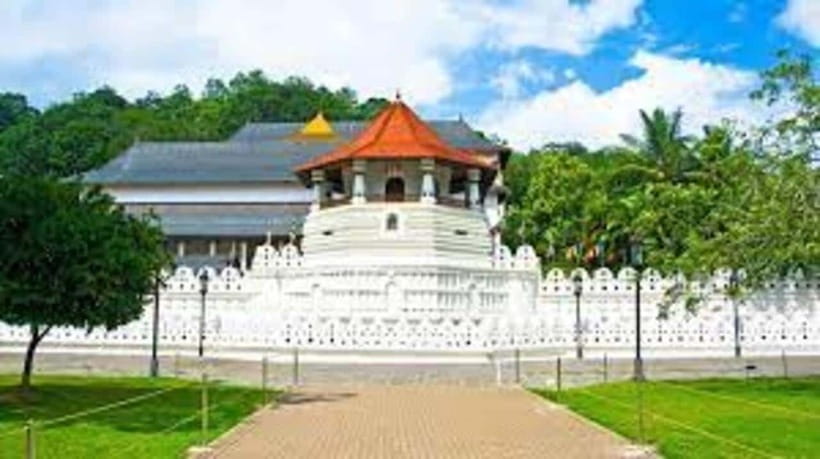 From Negombo : Pinnawala & Tea Factory & Kandy Full Day Trip - Temple of the Sacred Tooth Relic: how to plan your visit respectfully