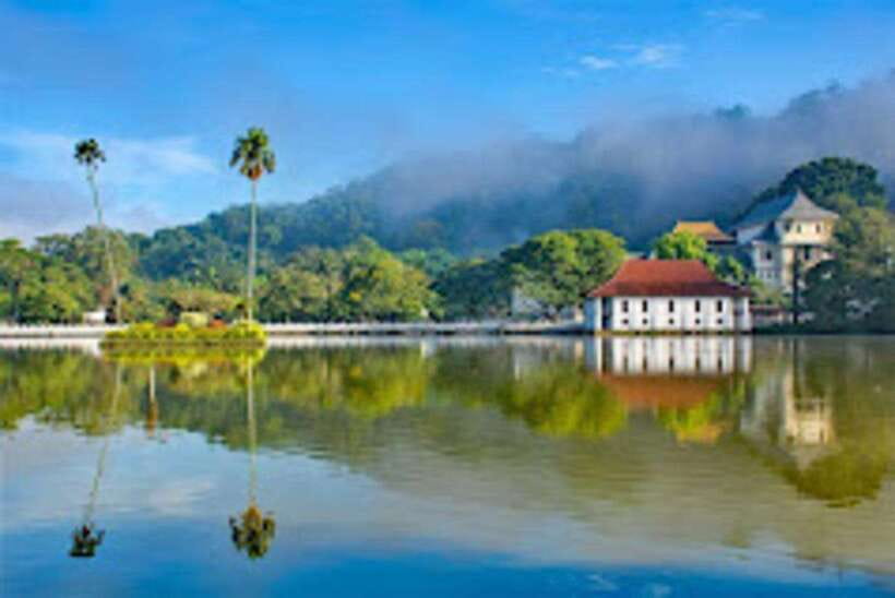 From Negombo : Pinnawala & Tea Factory & Kandy Full Day Trip - Pickup from Negombo (and how the timing feels)