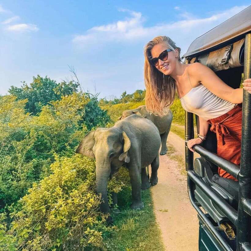 From Sigiriya : Hurulu Eco Park Safari : All Inclusive - Key highlights you’ll care about
