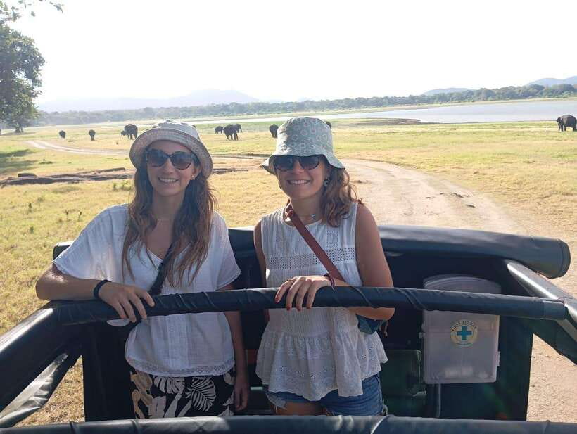 From Sigiriya: Minneriya National Park Half-Day Jeep Safari - Minneriya from Sigiriya: why this elephant safari hits different