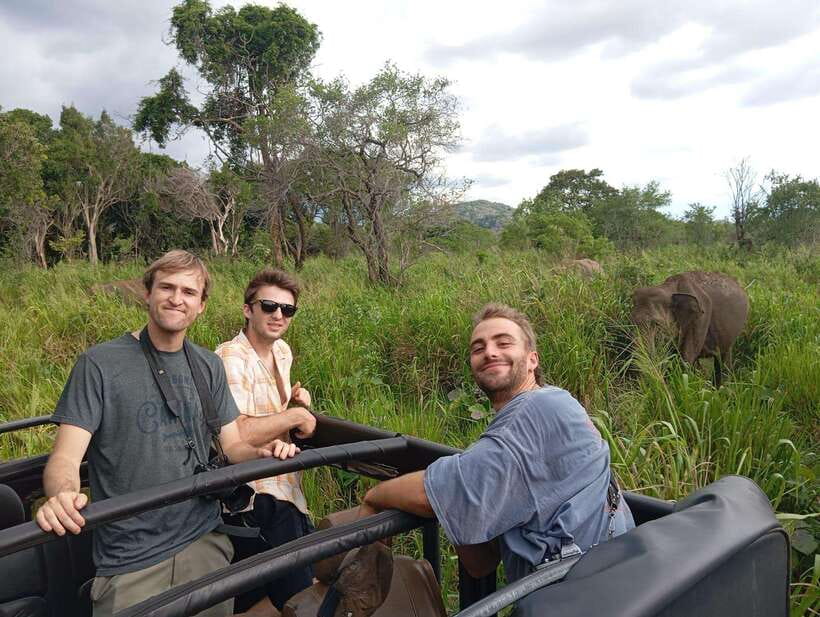 From Sigiriya: Minneriya National Park Half-Day Jeep Safari - What the 4x4 jeep experience is really like