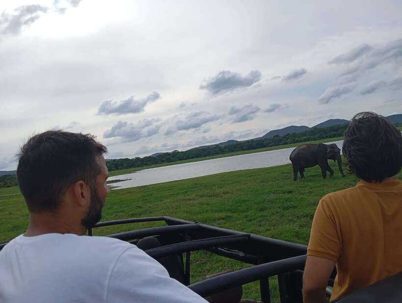 From Sigiriya: Minneriya National Park Half-Day Jeep Safari - The Minneriya lake area stop: a slower kind of wildlife watching