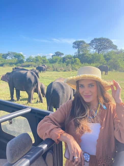 From Sigiriya: Minneriya National Park Private Jeep Safari - Key highlights at a glance