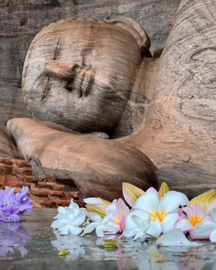 From Sigiriya :Polonnaruwa Ancient City Tour/Day Tour - Polonnaruwa’s Gal Vihara: the rock-carved stop that sells the whole day