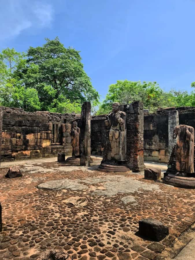 From Sigiriya :Polonnaruwa Ancient City Tour/Day Tour - Should you book this day tour?