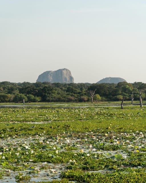 From Tangalle / Hiriketiya - Yala Safari - Drop-off : Ella - Drop-Off in Ella: The Bonus Travel Advantage