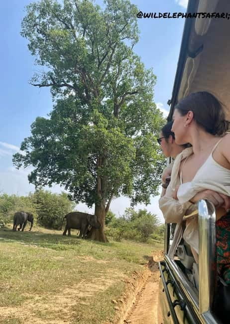 From Tangalle/ Hiriketiya: Yala Safari with Drop: Ella - Who should book this tour—and who should skip it