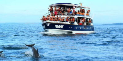 From Tangalle: Mirissa Whale Watching Tour with Breakfast - On the water in Mirissa: spotting blue and sperm whales without guesswork