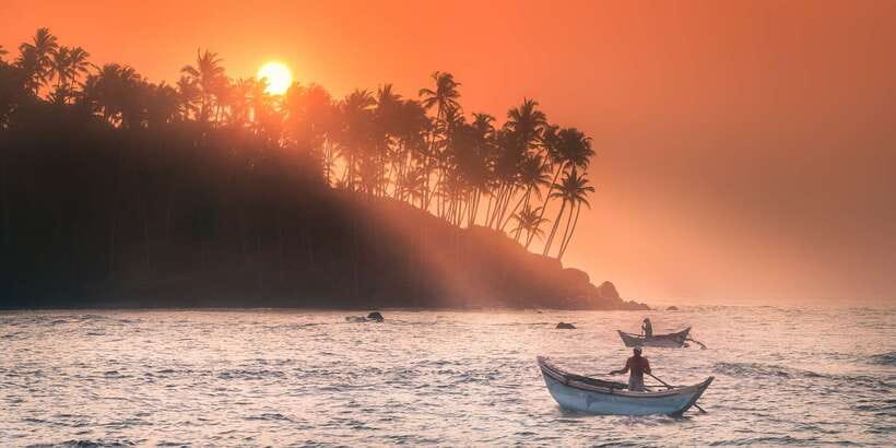 From Tangalle: Mirissa Whale Watching Tour with Breakfast - The viewing rules that make the trip feel responsible