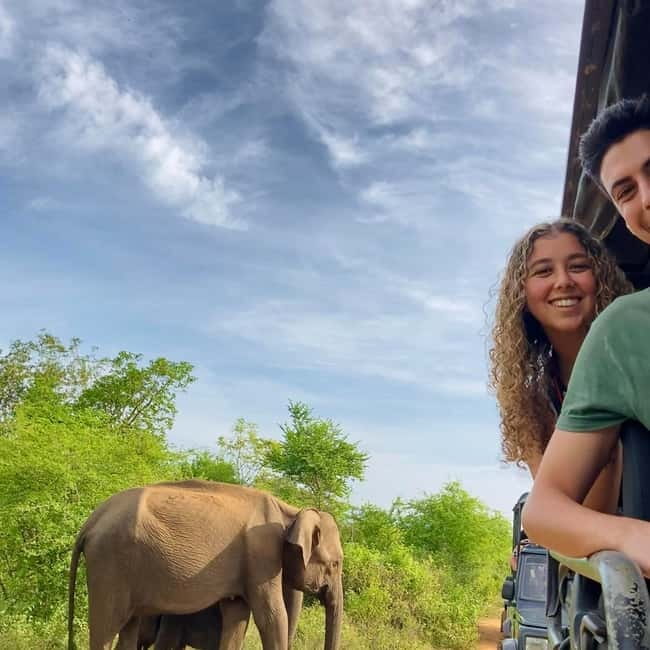 From Tangalle: Yala Safari with Drop: Ella - Potential Drawback: Wildlife Luck Is Real