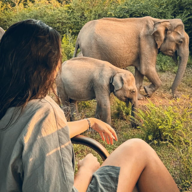 From Trincomalee : Minneriya / Kaudulla Elephant Safari - Who should book this Minneriya/Kaudulla safari?