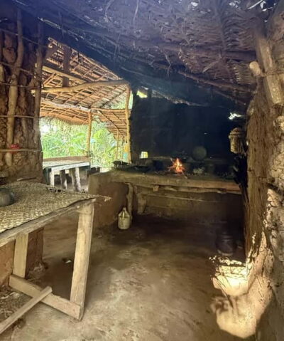 From Trincomalee: Village Tour & Minneriya Elephant Safari - The village stops you’ll remember: bullock cart, canoe, and real home cooking