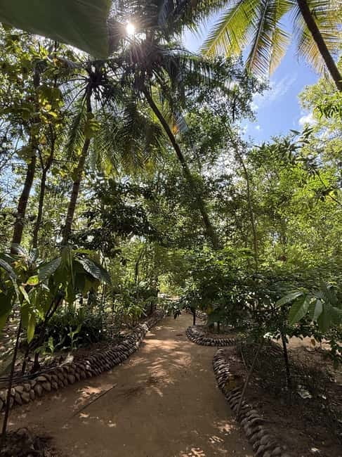 From Trincomalee: Village Tour & Minneriya Elephant Safari - Private elephant safari in Minneriya: the seasonal plan that boosts sightings