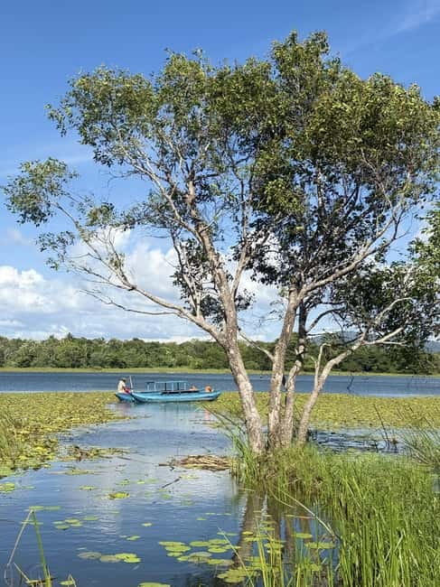 From Trincomalee: Village Tour & Minneriya Elephant Safari - What you might see besides elephants, and how to spot it
