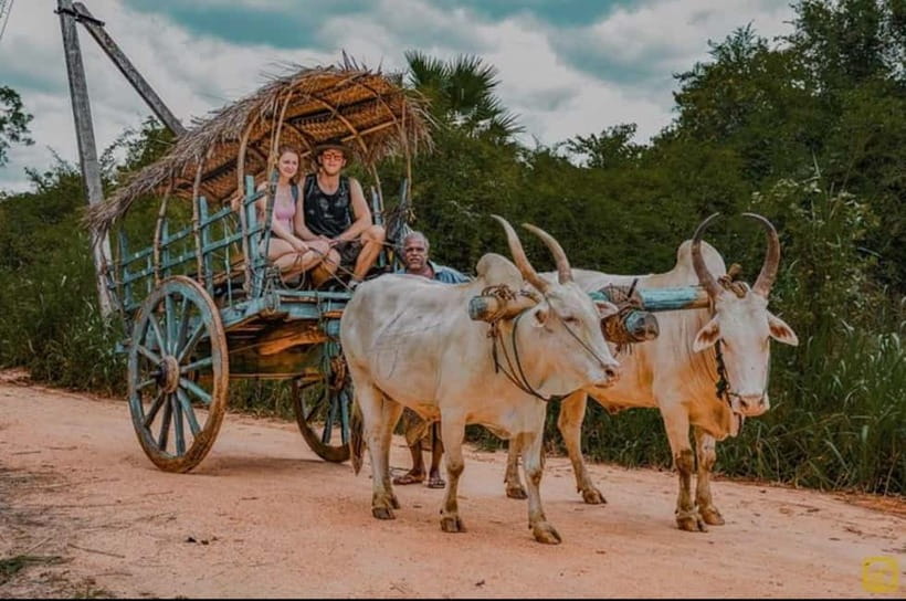 From Trincomalee: Village Tour & Minneriya Elephant Safari - Who should book this day tour from Trincomalee