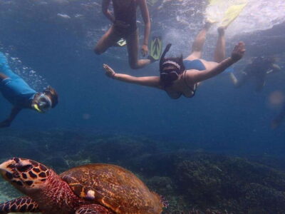 From Uppuveli Beach: Pigeon Island Snorkeling Tour - Where you meet: Trinco Bay Dive Center by Fernando’s Beach Market
