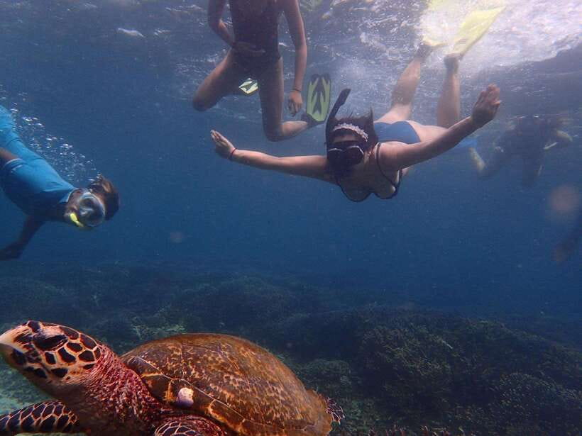 From Uppuveli Beach: Pigeon Island Snorkeling Tour - Where you meet: Trinco Bay Dive Center by Fernando’s Beach Market