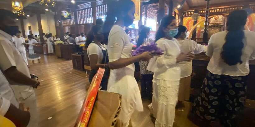 From west coast: Kandy, Tooth temple, Botanical & Tea garden - Key things to know before you go