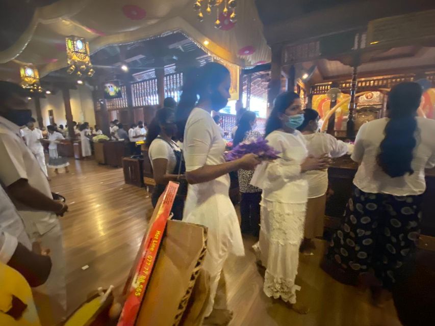 From west coast: Kandy, Tooth temple, Botanical & Tea garden - Price and logistics for a $84 one-day west coast route