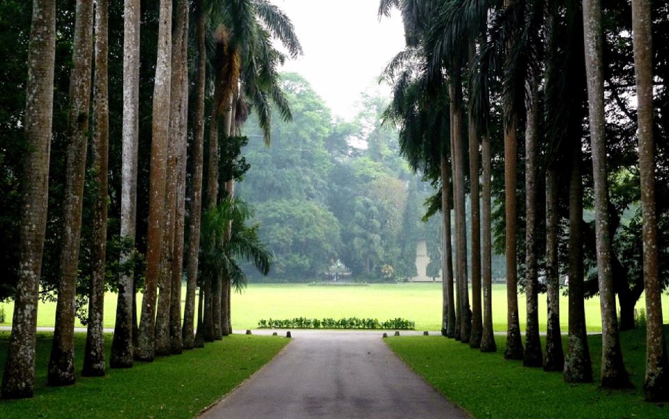 From west coast: Kandy, Tooth temple, Botanical & Tea garden - Who this tour is for (and who should pick something else)