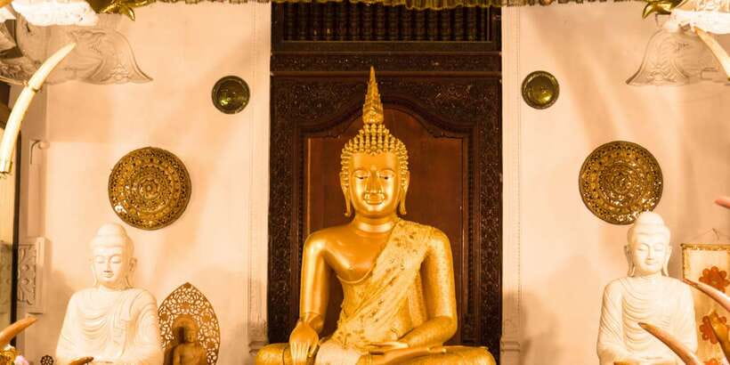 From west coast: Kandy, Tooth temple, Botanical & Tea garden - Should you book this Kandy tour?