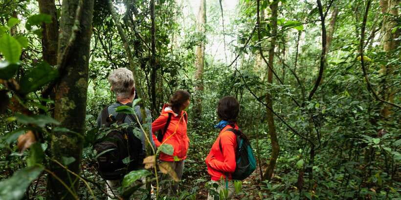 From Western Province: 2-Day Hill Country Highlights Trip - Why this 2-day mix works better than a simple beach-and-safari plan