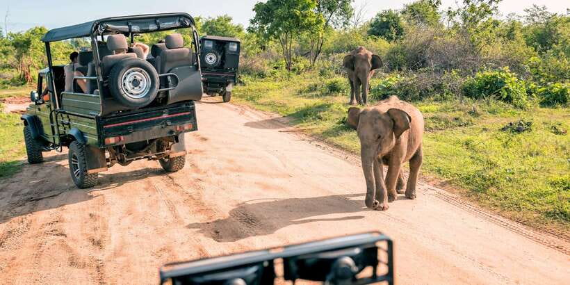 From Western Province: 2-Day Hill Country Highlights Trip - Ella overnight: why the base matters more than you think