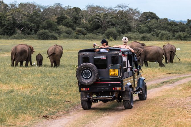 Full-Day Minneriya and Kaudulla National Parks Private Safari - Minneriya National Park: what you’re really going for