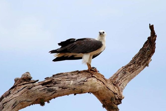 Full Day Private Safari at Yala National Park by Yala La Safari Tours - Pickup, mobile ticket, and small-group realities