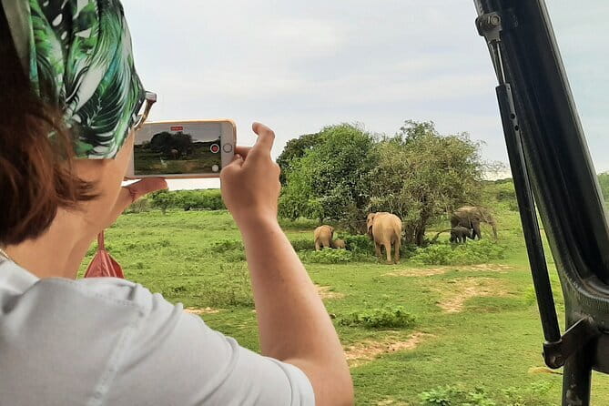Full Day Safari Tour Yala - Lunch, tea, and the long-day basics you won’t regret