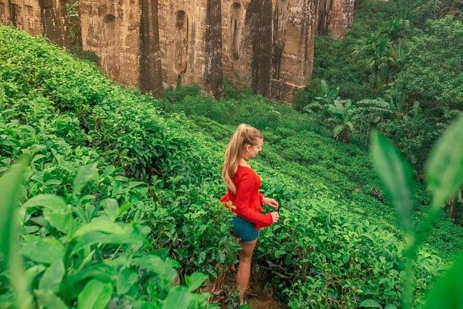 Full Day Tour to Udawalawe Safari and Ella - Transportation and timing: the rhythm of a 5.5-hour plan