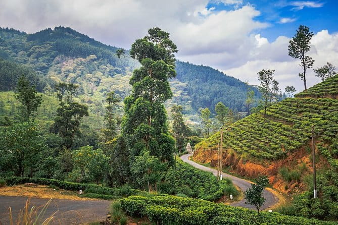 Full Day Trip to Sigiriya and Dambulla from Kandy - Who This Tour Is Best For