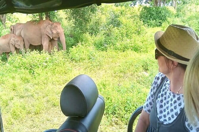 Fully Private Udawalawe National Park Safari Tour - Key things I’d bet on before you book