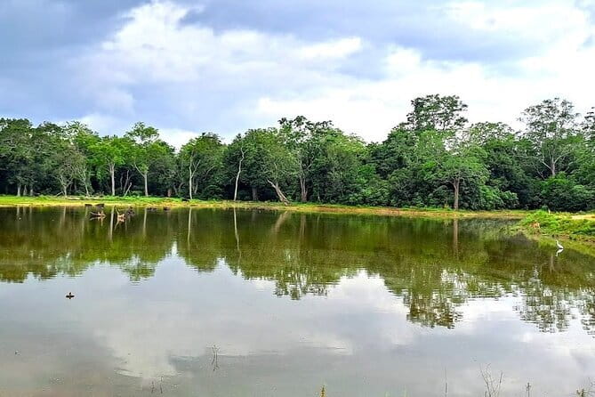Fully Private Udawalawe National Park Safari Tour - Who should book this Udawalawe private safari?
