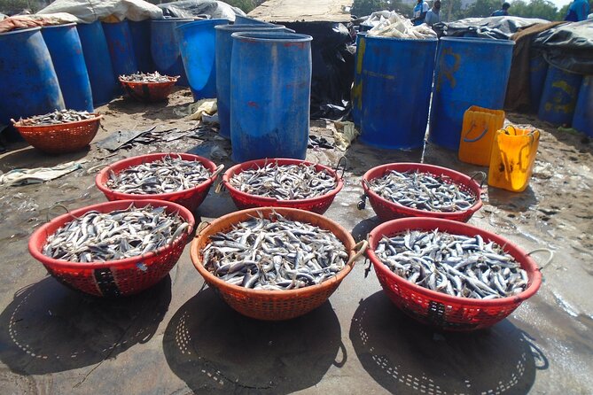 Fun and Scenic Negombo Tour by Tuk Tuk - Negombo Fish Market: Beachfront Activity You Can Actually Watch