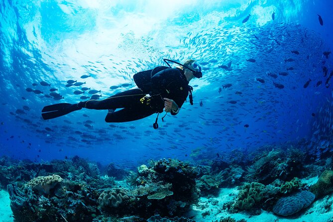 Fun Dives For Certified Divers - Nilaveli’s reef sites match certified diver goals