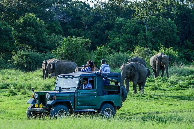 Galle ALL INCLUDED Tour from Hambantota Port (Shore excursions) - Timing, transportation comfort, and the pace you’ll feel