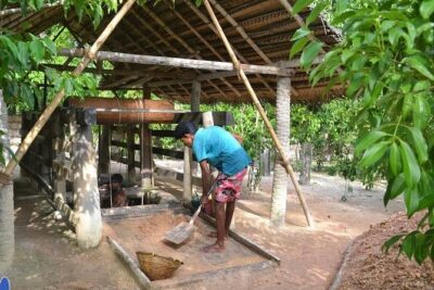 Galle Day Private Tour Beruwala/Bentota/Kosgoda/Ahungalla - The guide factor: Dimtours’ Dim and the comfort setup