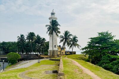 Galle Day Tour and Tea Plantation from Bentota & Other Places - Handunugoda Tea Estate: coastal tea and the idea of virgin white tea
