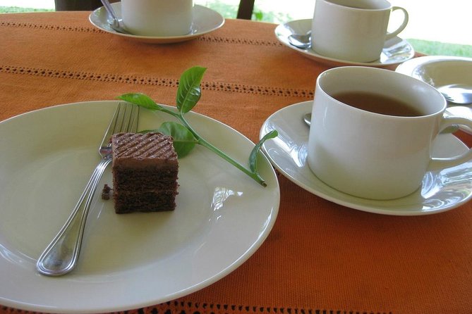 Galle Day Tour and Tea Plantation from Bentota & Other Places - Jungle Beach: the short hike-or-walk style payoff (and timing helps)