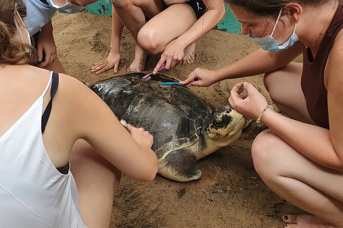 Galle day tour - Colombo to Galle trip - All Included - Lunch by the coast at Hikkaduwa: the part you’ll remember