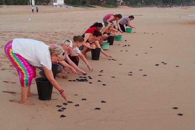 Galle Day Tour from Colombo/Negombo by Private Car or Van - Stop 2: Jungle Beach Between Galle and Unawatuna (Fewer People, Better Sunsets)