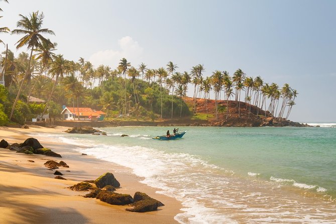Galle Day Tour from Colombo/Negombo by Private Car or Van - Stop 5: Sea Turtle Farm in Habaraduwa (Volunteers, 1,000,000+ Releases)