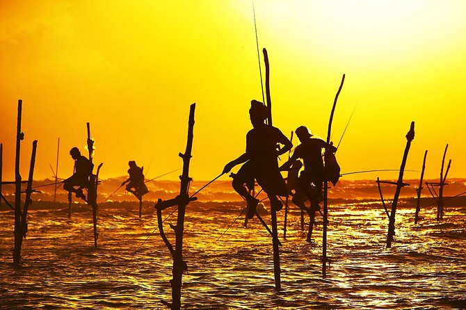 Galle Day Trip & Stilt Fishermen from Koggala - Rumassala Hill and the Japanese Peace Pagoda (free stop, real views)