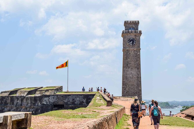 Galle Day Trip with River Safari, Sea Turtle & Stilt Fishermen - Sea turtle conservation project: learning in 30 minutes without feeling lectured